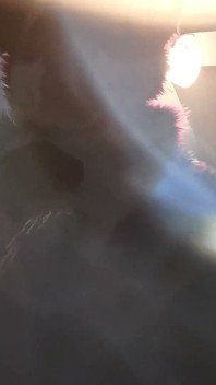 Furry in Full-body Fursuit Pisses on You, Then Cums Over Himself