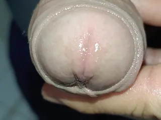 Big, Dingy, Cock Ready to Penetrate Your Ass and Cum on Your Face