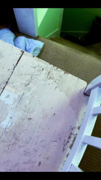 Check Out the Mess I Had to Clean up After My Last Video