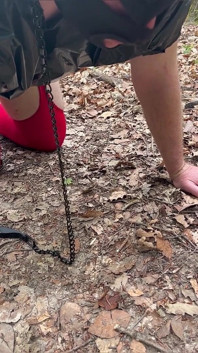 Punishment in the Forest...