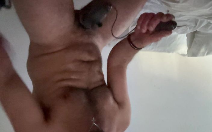 PureBredBreeder: Hotel Breed