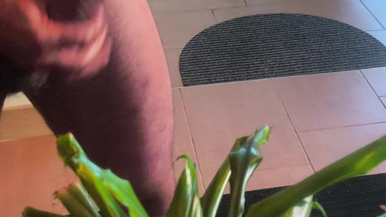 Robie Doee: Goot Penis