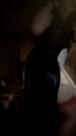 Push ego trip: Bitch dance