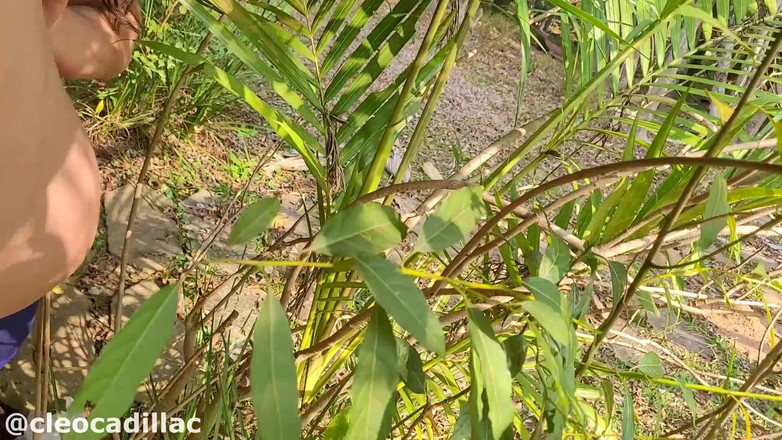 Cleo Cadillac: Onanerade på balkongen på min gård.