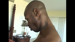 The Swingers & CO.: 복종하는 복종하는 여왕의 놀이기구