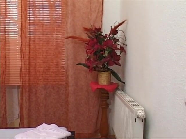 German Classic Porn videos: Pelirroja de pelo corto está haciendo su primer casting