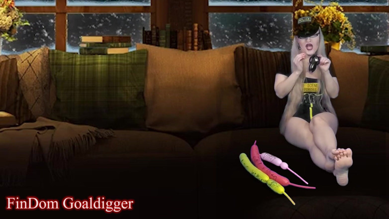 FinDom Goaldigger: Cyber CEI