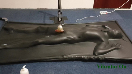 NL Milking: Milked by controlled vibrator in vacbed
