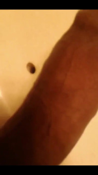 Black Cock Shots