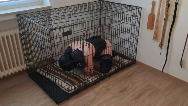 Lucy Dee: Blindfolded Caged Sissy Slave - Locked Away While Mistress Enjoys Her...