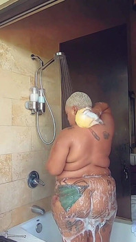 nhiệt đới