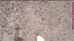 Carmen_Nylonjunge: White Socks in the Puddle