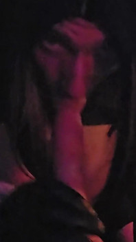 Xenia
