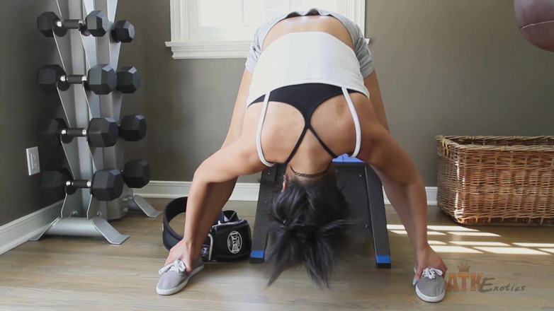 ATK Fans (Natural & Hairy): Entrenamiento con juguetes