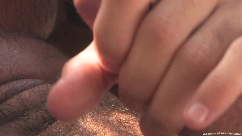 Raging Stallion: Gromt stiefbroers in wapens
