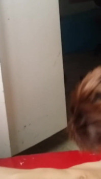 Fucking with My Buddy in the Bedroom After the School