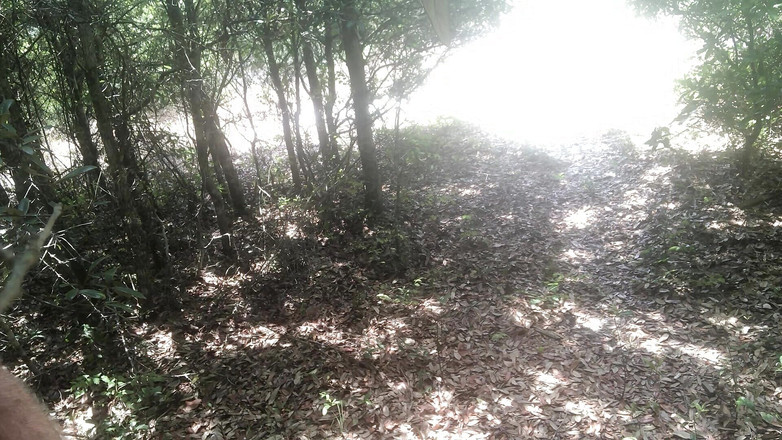 Justin Birmingham: Gay beach si cewek super semok yang lagi sange ngocok...