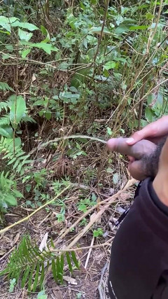 Vida Noite: Đi tiểu với niềm đam mê đi tiểu trên đường mòn