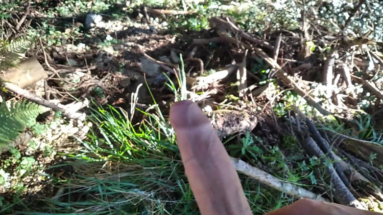 Elvissc: Oude man met een enorme lul ging op wandeling en...