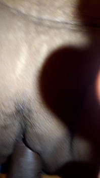 Бхабхі Ка Чудай