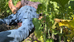 Ritu: Sasumaa Jamai Ke Sath în afara Kheto Me Romantism XXX Video