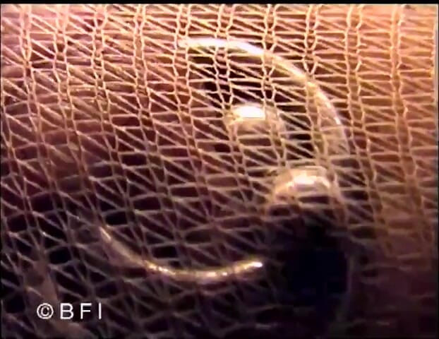 Femdom Bitches: Leccare la figa e il culo