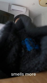 Giant Alien Finds Tiny Human in His Room