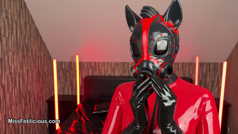 Miss_Fetilicious: Feturax Pony Hood in the Spotlight