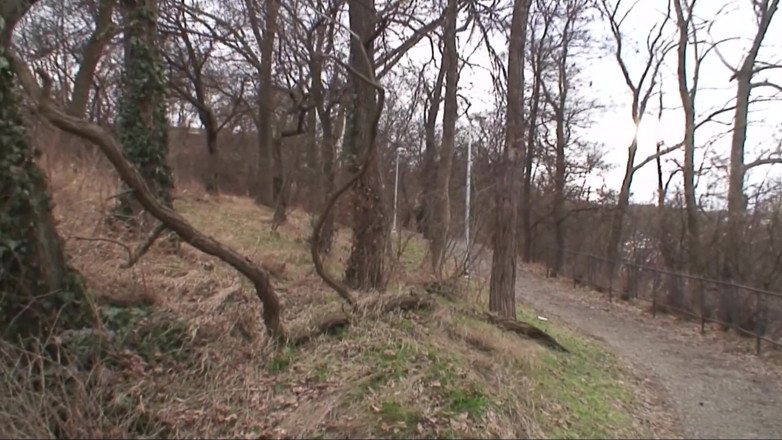 THAGSON: Sceny piskląt publicznych Thg Sub 02