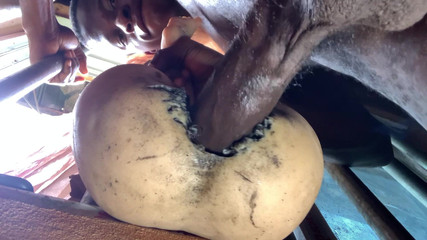 Bangcum8: 素人デカ尻がきつすぎると思わなかった速くイキまくり