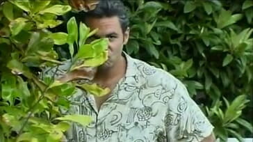 Perfect Porno: Gramps gets his dick sucked by a hot blonde chic
