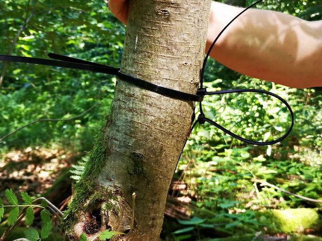 Tie Her Tits to the Tree and Whip Them Hard (DevoteTits - Extreme BDSM)