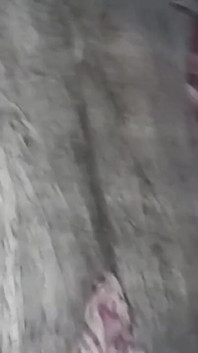 The Maid Getting Out of the Shower