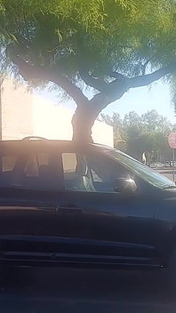Orinar en un estacionamiento y mi coño peludo se mojó!
