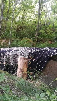 Double pénétration avec un gode dans la nature