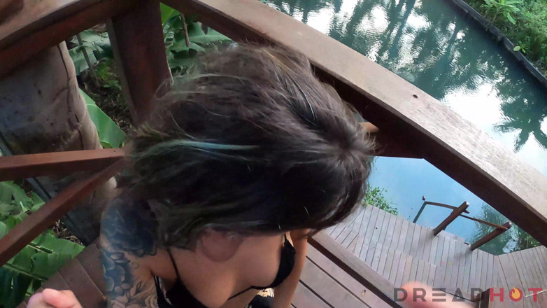 Alemao Hub: Tidak boleh berhenti!! tegar dari Dreadhot