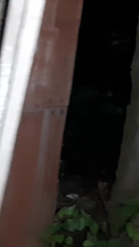 Eu peguei minha vizinha se masturbando no banheiro na rua e eu me juntei a ela - lésbica-ilusão