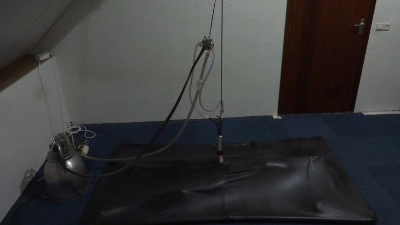 NL Milking: Vacbed milking