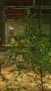 Erotics in Ruins