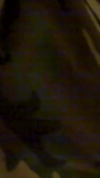 Velho sexo Vid 1