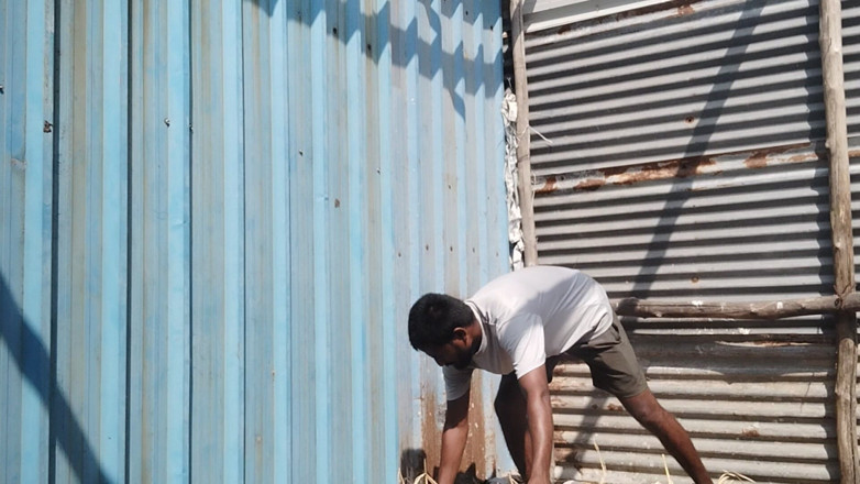 KUMBHA MANOJ KUMAR: Rich Baffalos dan cow play boy