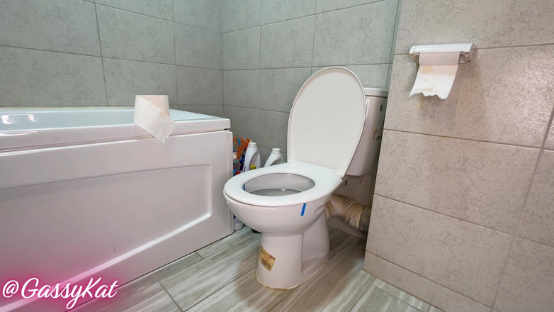 GassyKat: 每日厕所第一集