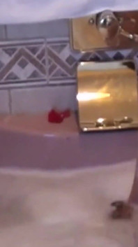 Nikki daniels e brittney Badseed si baciano e scopano con un dildo raddoppiato in una vasca da bagno