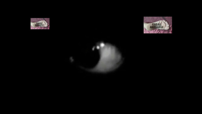 Casal Gresopio films: ハロウィン女性マッサージ