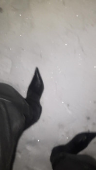 Pointy Boots in Snow