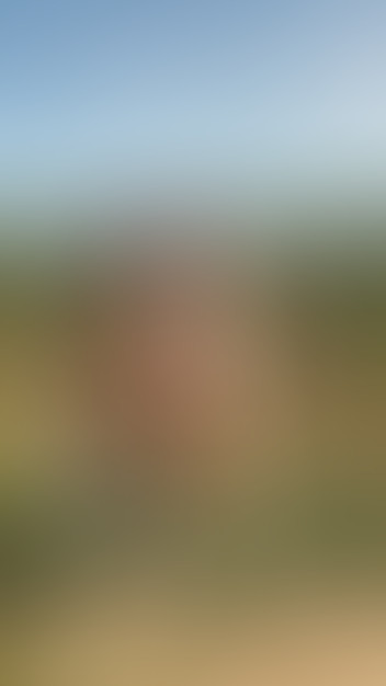 Locked due to age restriction