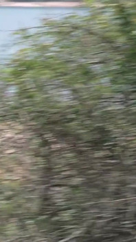 Big Bottomed Cuban Babe Amanda Luxor Picks up a Guy and Fucks Him for Us at the Lake