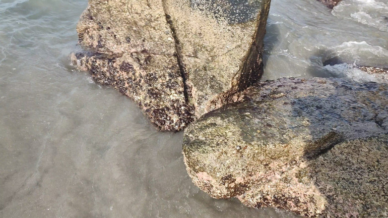 LiL Latin Goddess: Bts Blooper Open Ocean wytryski