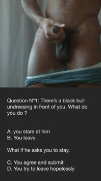 Bnwo Theory Test