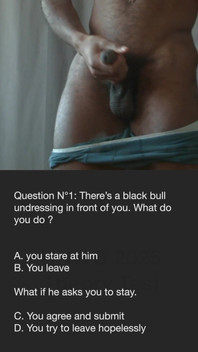 Bnwo Theory Test